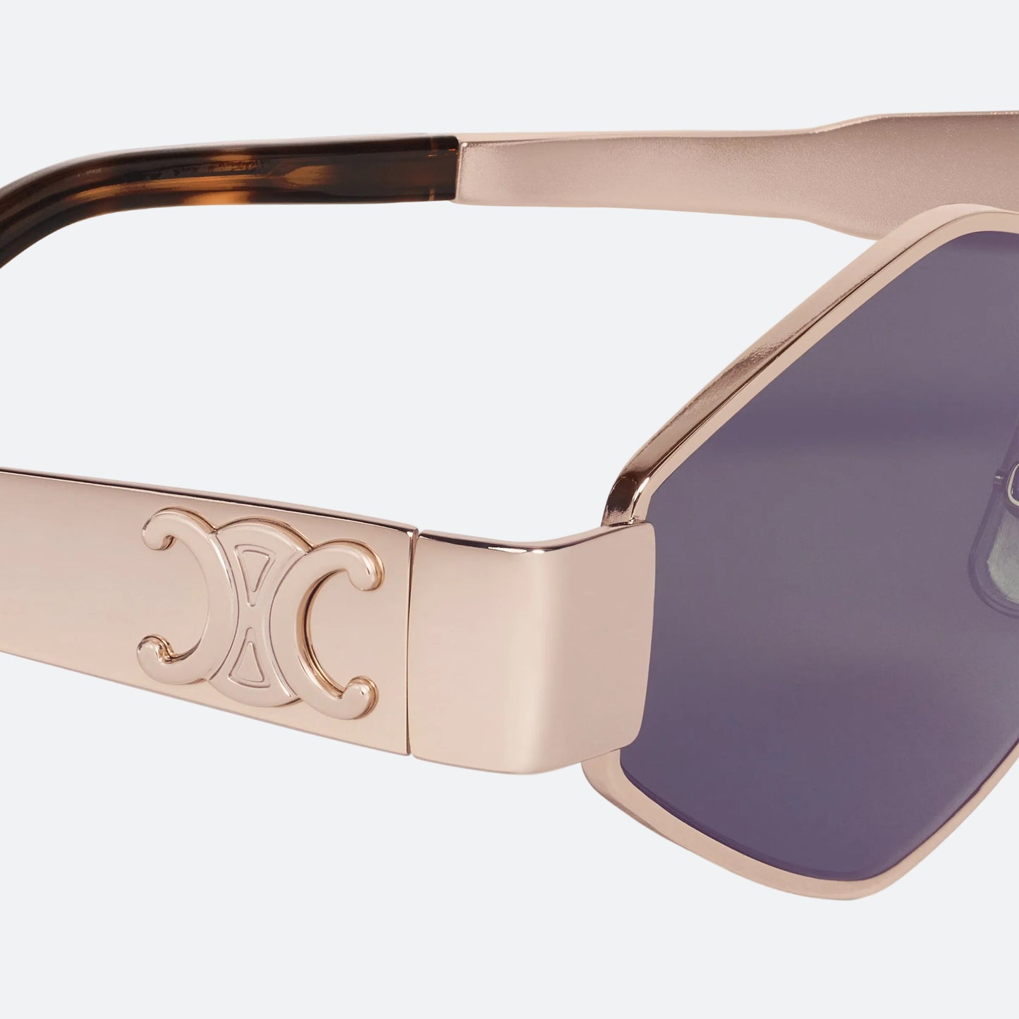Triomphe Metal 02 Sunglasses - 4S254CMLB